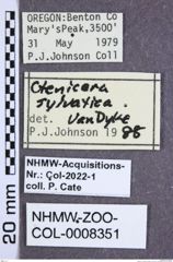 Etiketten zu Proludius silvaticus (Van Dyke, 1932) (NHMW-ZOO-COL-0008351)